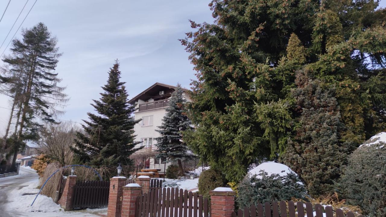 Alfa 2 Apartament 3 Bystra  Dış mekan fotoğraf